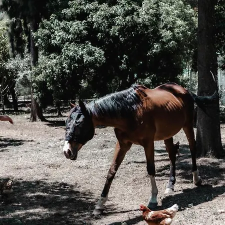 Quinta Do Cerrado Летний дом *